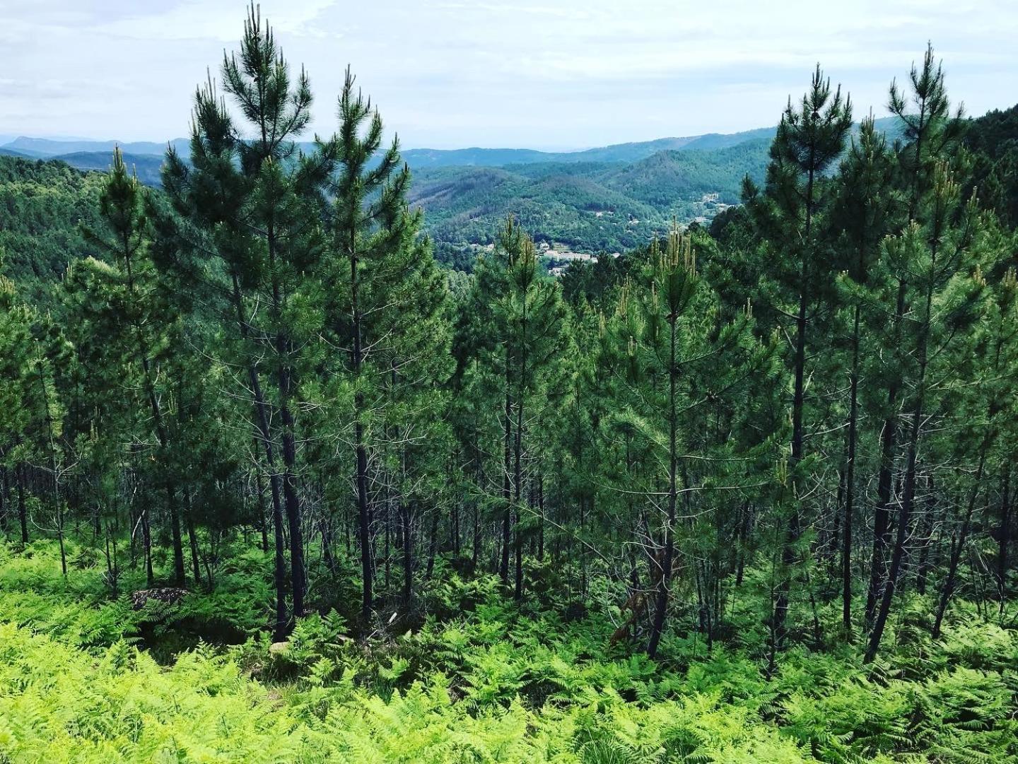 Detente Au Coeur Des Cevennes Besseges Екстер'єр фото